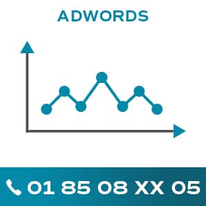 visuel montrant google adwords